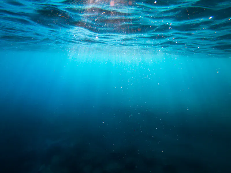 /underwater-lovin-the-wild-and-fascinating-world-of-marine-reproduction/underwater-lovin-the-wild-and-fascinating-world-of-marine-reproduction.webp